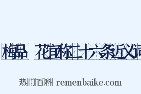 梅品·花宜称二十六条近义词是什么意思的图片